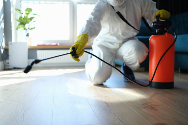 Reliable Biohazard Cleanup contractor in Johannesburg, CA by Dulley Family Biohazard Services